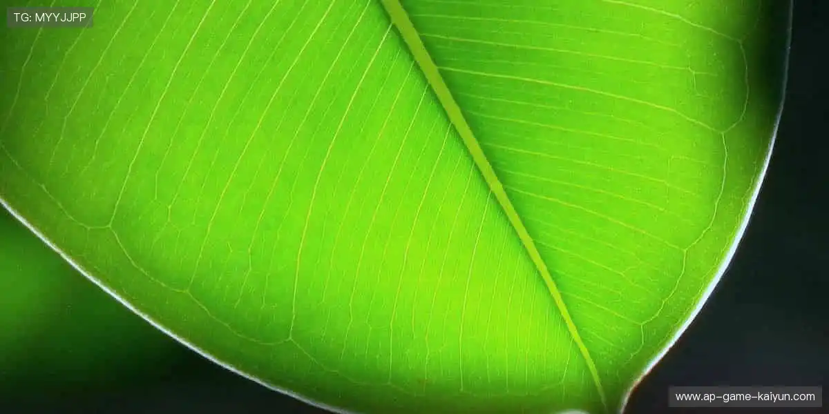 ⚽️ 每一脚都在书写传奇,